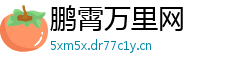 鹏霄万里网